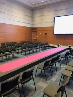 The Pink Runway